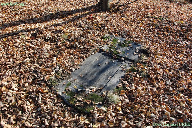 Sosnowiec-Milowice Cmentarz żydowski 006.JPG