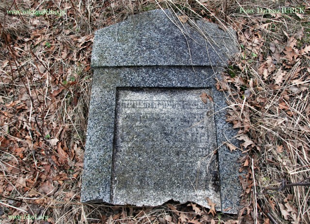 Sosnowiec-Milowice Cmentarz żydowski 030.JPG