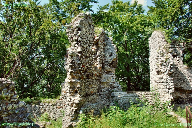 Smoleń zamek 011.JPG