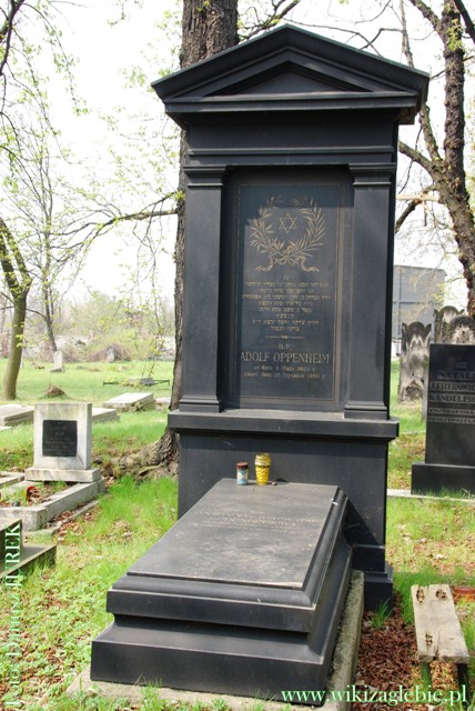 Sosnowiec Cmentarz żydowski 013.JPG
