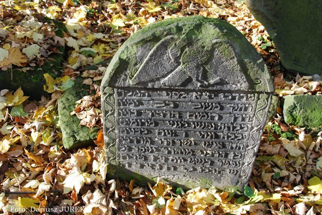 Cmentarz żydowski w Będzinie 06.JPG