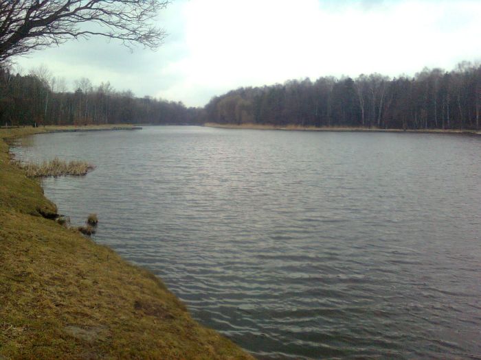 Park lesna2.jpg