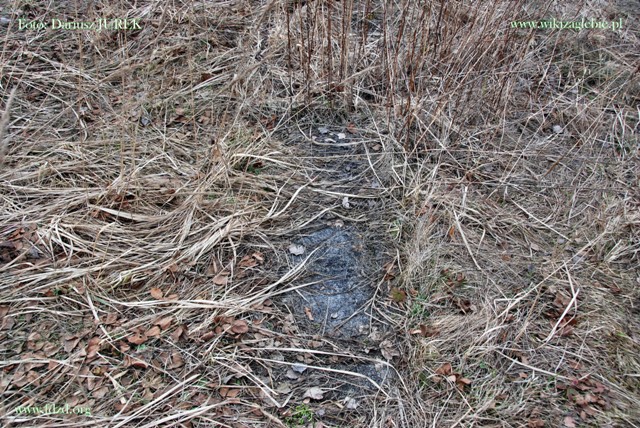 Sosnowiec-Milowice Cmentarz żydowski 025.JPG