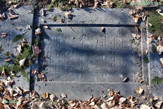 Sosnowiec-Milowice Cmentarz żydowski 007.JPG