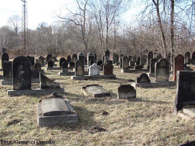 Sosnowiec. Widok kirkutu w Modrzejowie.JPG