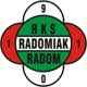 Radomiak Radom.jpg