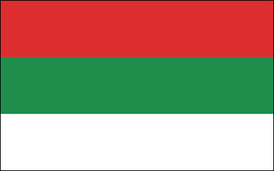 Flaga Zagłębie Dąbrowskie.gif