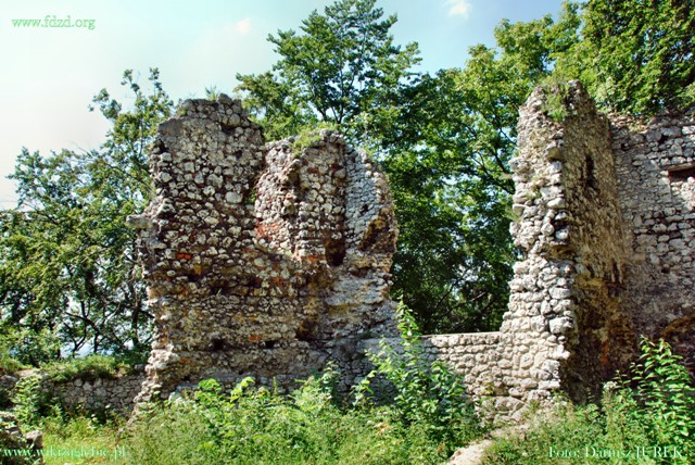 Smoleń zamek 010.JPG