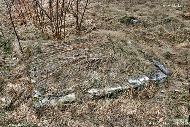 Sosnowiec-Milowice Cmentarz żydowski 021.JPG