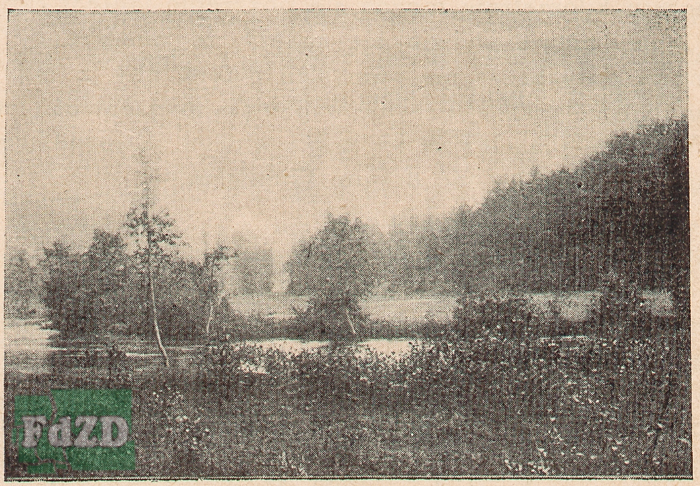 Okradzionów - Kantor - 0005.jpg