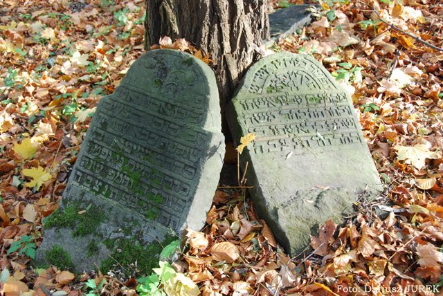 Cmentarz żydowski w Będzinie 03.JPG