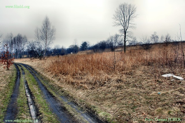 Sosnowiec-Milowice Cmentarz żydowski 019.JPG