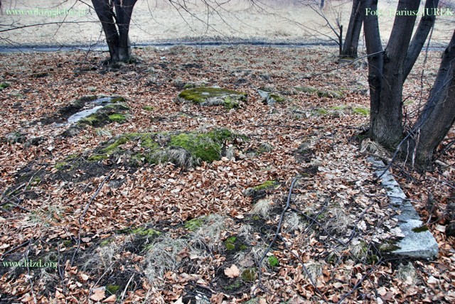 Sosnowiec-Milowice Cmentarz żydowski 033.JPG
