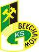 GKS Bełchatów.jpg