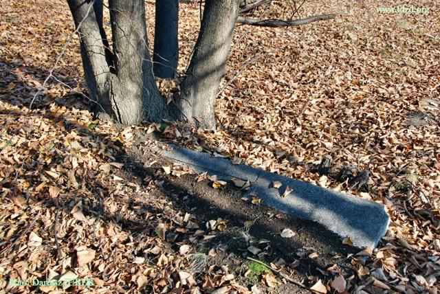 Sosnowiec-Milowice Cmentarz żydowski 017.JPG