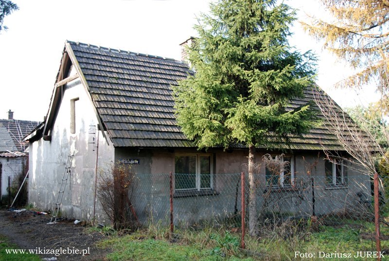 Sosnowiec Julisz Kolonia przy ul. Grenadierów 01.JPG