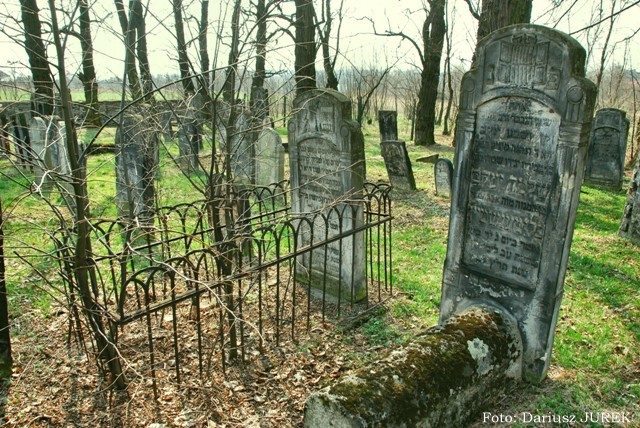 Cmentarz żydowski Sławków 04.JPG