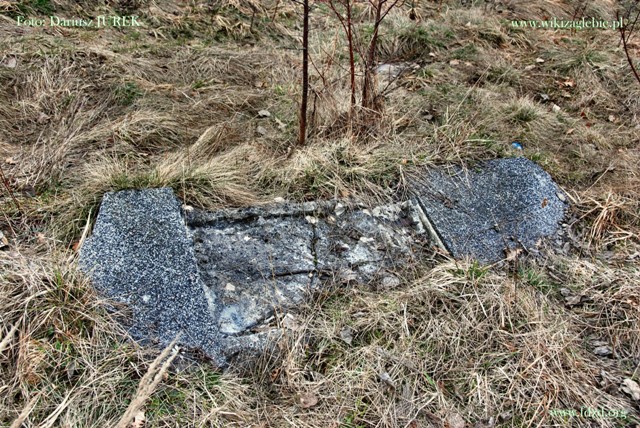 Sosnowiec-Milowice Cmentarz żydowski 023.JPG