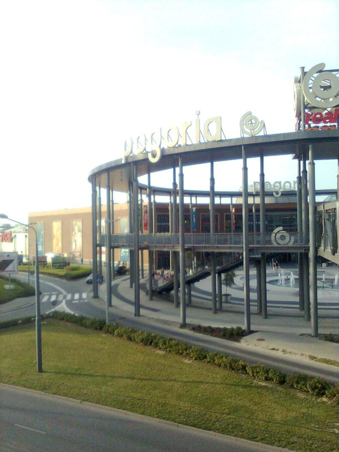 Chpogoria.jpg