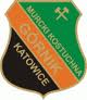 Górnik MK Katowice.jpg