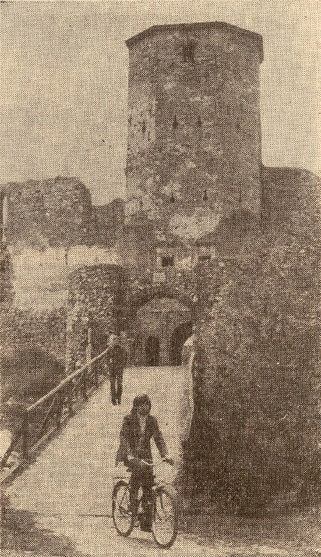 Zamek w Siewierzu 0001.jpg