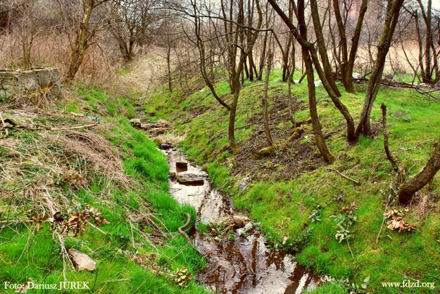 Sosnowiec Potok Zagórski 02.JPG