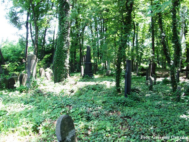 Zawiercie. Cmentarz Żydowski (Kirkut).07.JPG