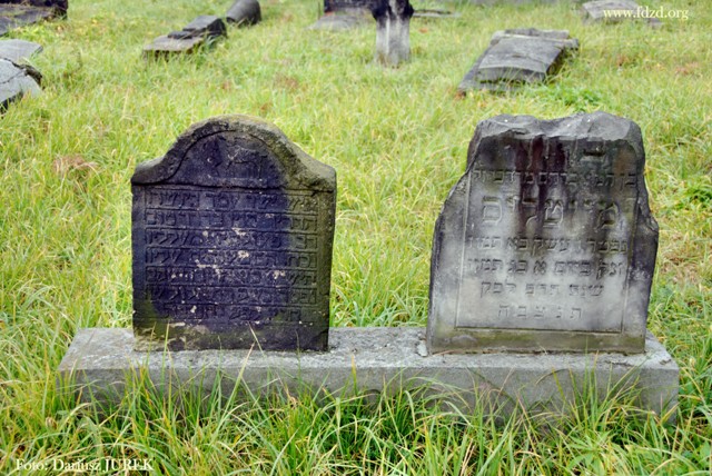 Sosnowiec-Modrzejów Cmentarz żydowski 009.JPG