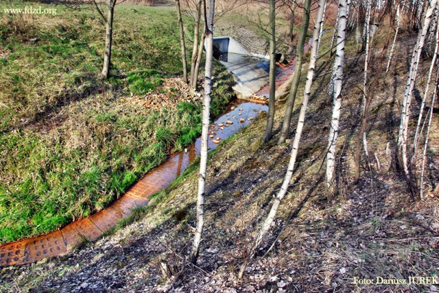 Sosnowiec Potok Zagórski 11.JPG