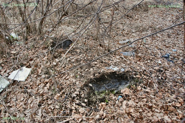 Sosnowiec-Milowice Cmentarz żydowski 041.JPG