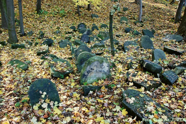 Cmentarz żydowski w Będzinie 11.JPG