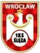 Ślęza Wrocław.jpg