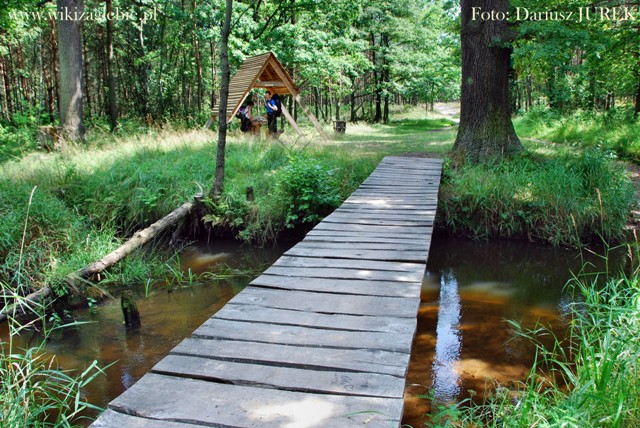 Lubsza-Ożarowice 104 Garbaty Mostek.JPG