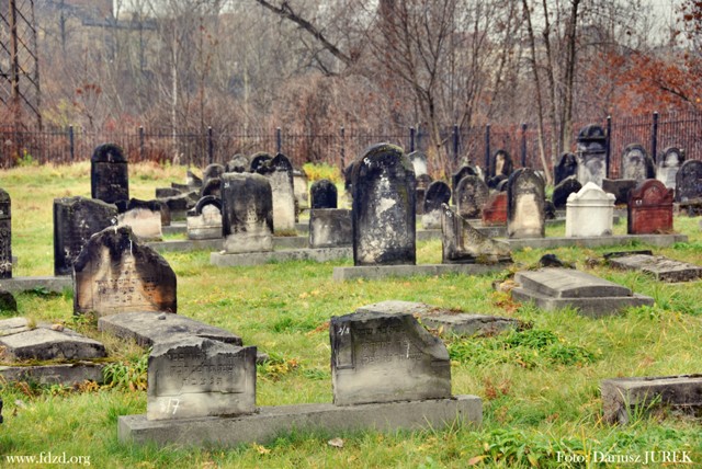Sosnowiec-Modrzejów Cmentarz żydowski 012.JPG
