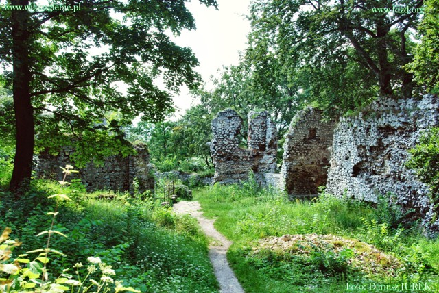 Smoleń zamek 019.JPG