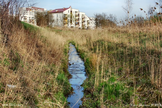 Sosnowiec Potok Zagórski 06.JPG