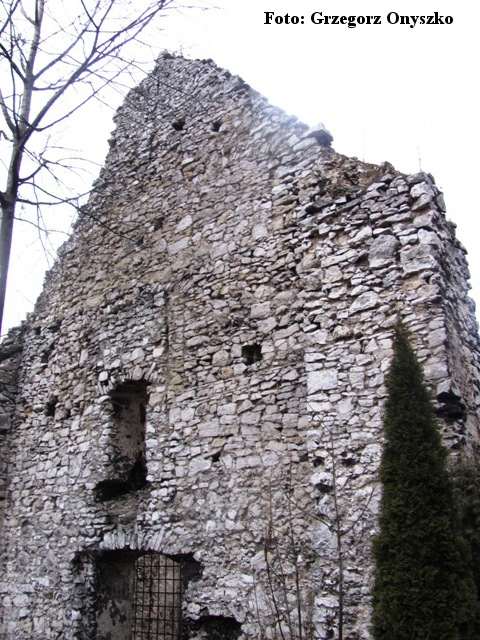 Pilica-Zarzecze. Ruiny siedemnastowiecznego kościoła. 03.JPG