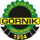 Górnik Jaworzno.jpg