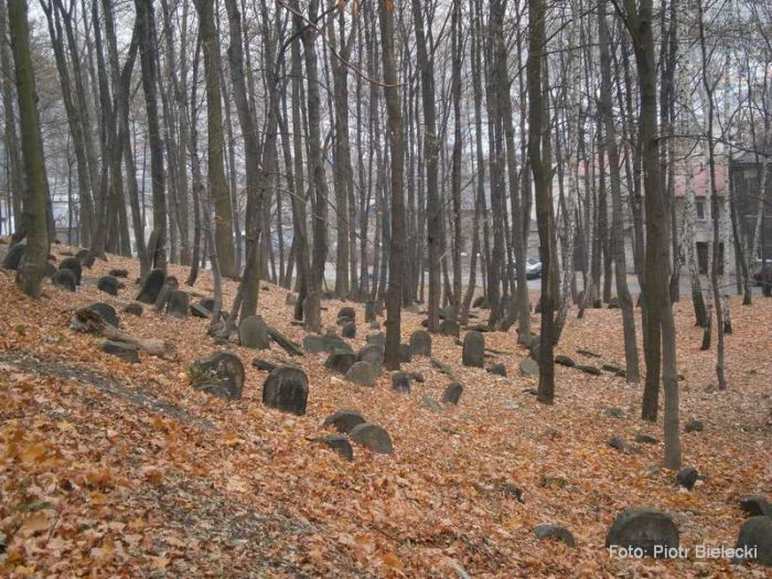 Kirkut bedzin gora zamkowa.jpg
