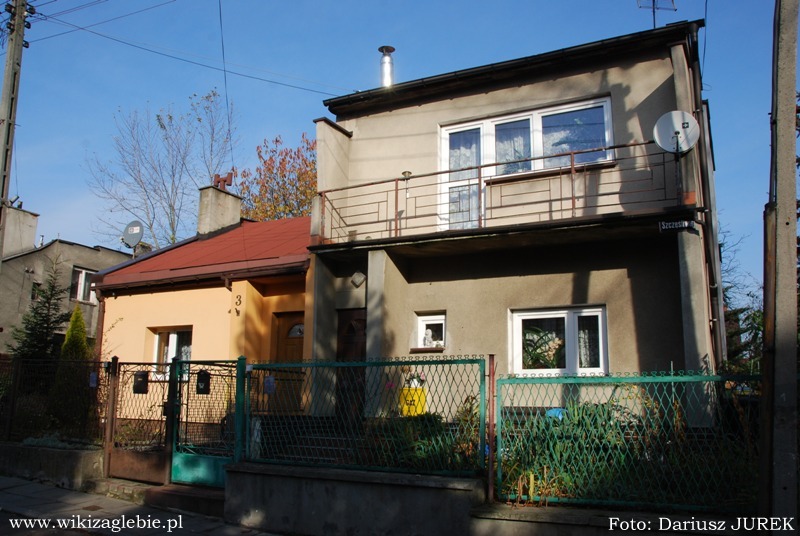 Sosnowiec Kolonia TOR 19.JPG