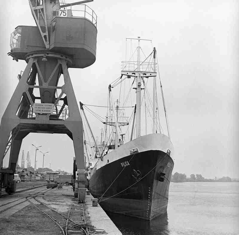 MS Pilica 2.jpg