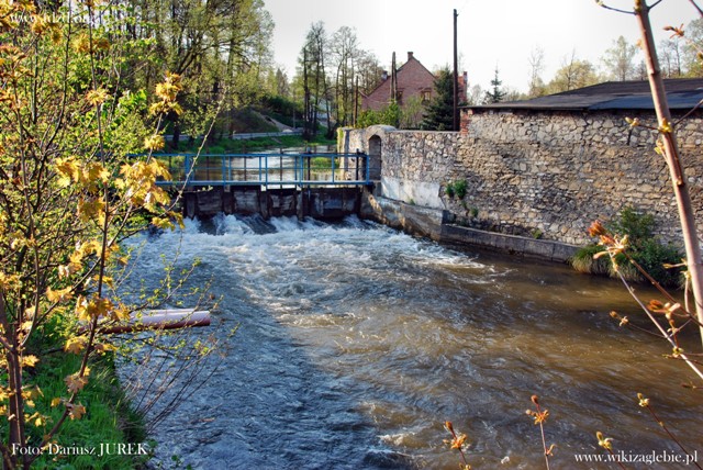 Dąbrowa Górniczna Okradzionów Biała Przemsza 014.JPG