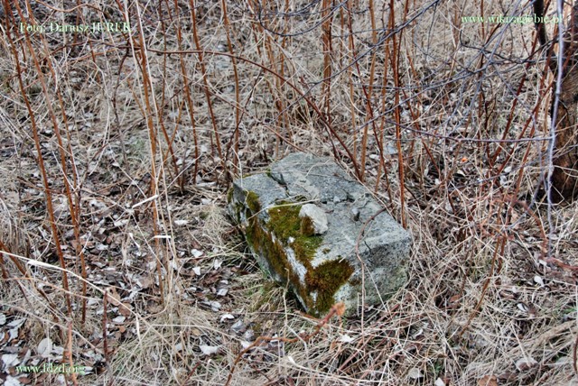 Sosnowiec-Milowice Cmentarz żydowski 042.JPG
