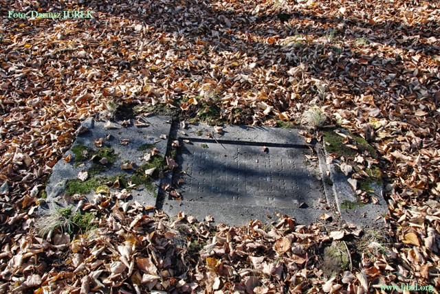 Sosnowiec-Milowice Cmentarz żydowski 008.JPG