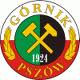 Górnik Pszów.jpg