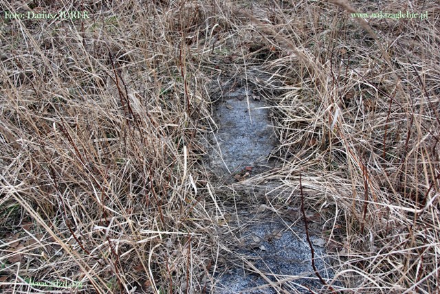 Sosnowiec-Milowice Cmentarz żydowski 027.JPG