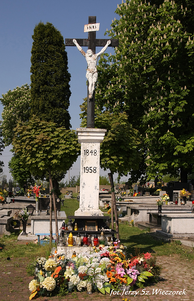 Plik:IS IMG 7769-kopia-1.jpg