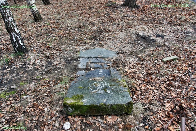 Sosnowiec-Milowice Cmentarz żydowski 037.JPG