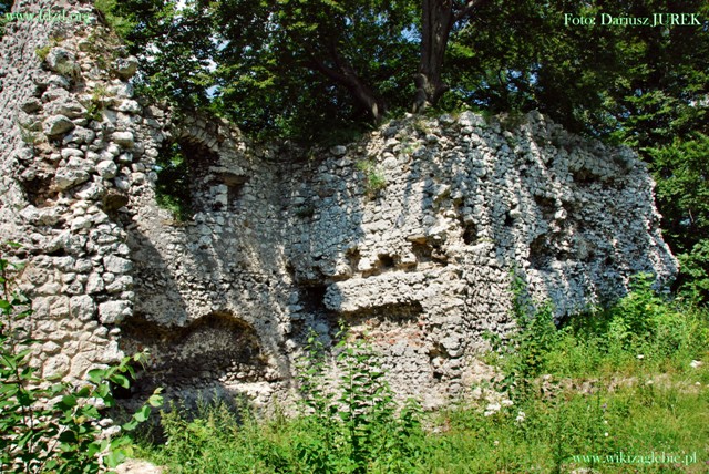 Smoleń zamek 016.JPG