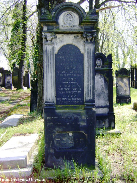 Sosnowiec (Pogon). Cmentarz żydowski. Zdjęcie macew. 001.JPG